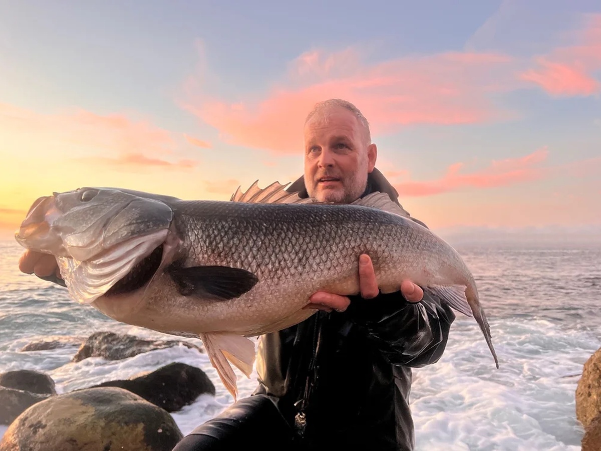 Peixe Troféu Portugal